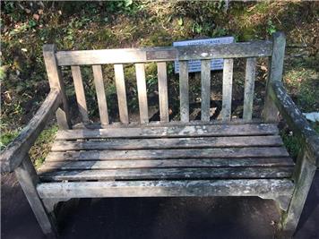 Before - Ludford  Bonebed Memorial Bench given a Summer facelift